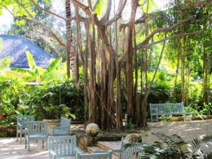 Photo by Oscar de la Renta of his Punta Cana gardens in the Dominican Republic - outdoor.jpg